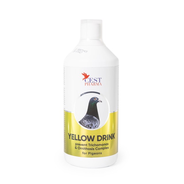 Yellow Drink