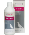 B-Chol 500 ml
