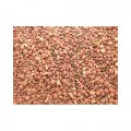 Ostrea Chlorella Mix