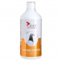 Amino Forte