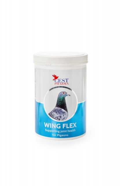 Wing Flex 600 g